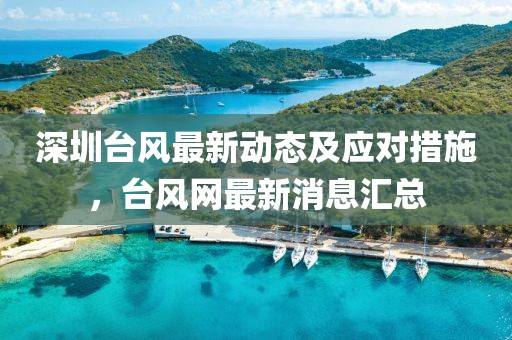 深圳台风最新动态及应对措施，台风网最新消息汇总