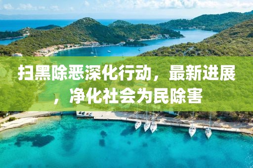 扫黑除恶深化行动，最新进展，净化社会为民除害