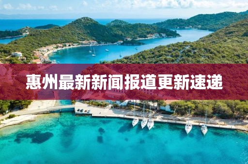 惠州最新新闻报道更新速递