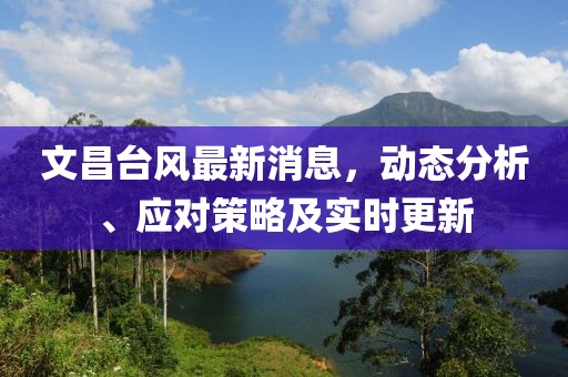 文昌台风最新消息，动态分析、应对策略及实时更新