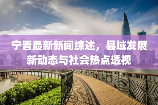 宁晋最新新闻综述，县域发展新动态与社会热点透视