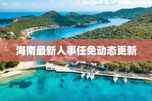 海南最新人事任免动态更新