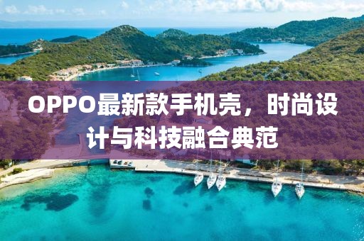 OPPO最新款手机壳，时尚设计与科技融合典范