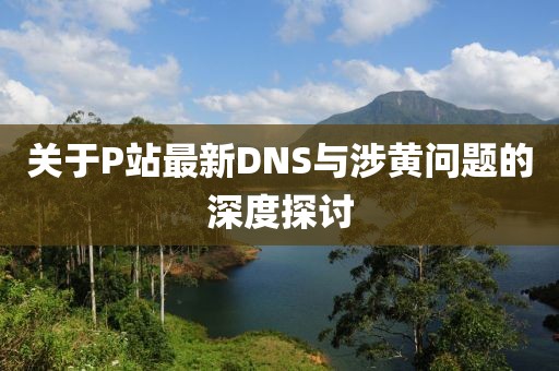 关于P站最新DNS与涉黄问题的深度探讨