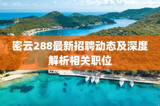 密云288最新招聘动态及深度解析相关职位