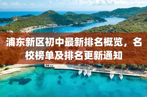 浦东新区初中最新排名概览，名校榜单及排名更新通知