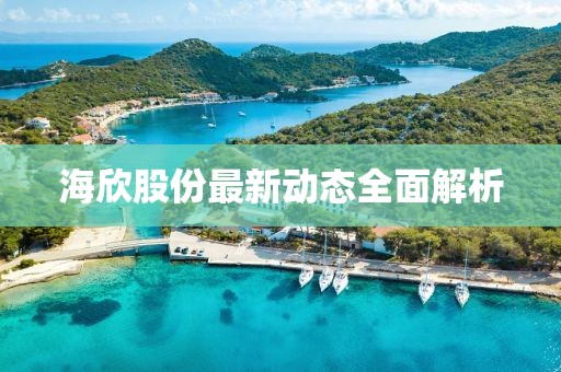 海欣股份最新动态全面解析