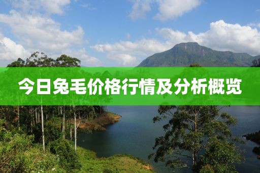 今日兔毛价格行情及分析概览