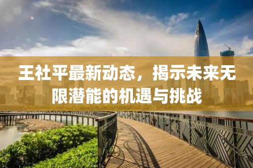 王社平最新动态，揭示未来无限潜能的机遇与挑战