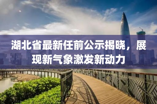 湖北省最新任前公示揭晓，展现新气象激发新动力