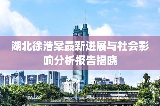 湖北徐浩案最新进展与社会影响分析报告揭晓