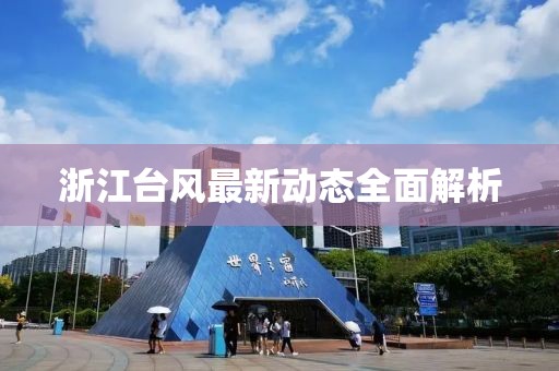 浙江台风最新动态全面解析