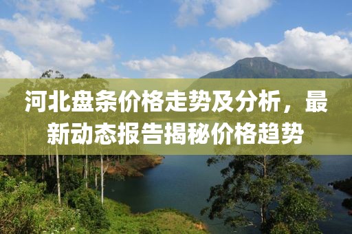 河北盘条价格走势及分析，最新动态报告揭秘价格趋势