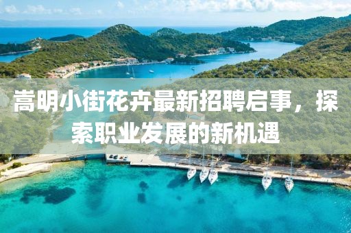 嵩明小街花卉最新招聘启事，探索职业发展的新机遇