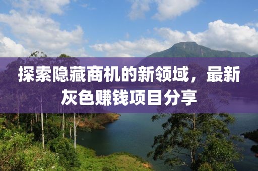 探索隐藏商机的新领域，最新灰色赚钱项目分享