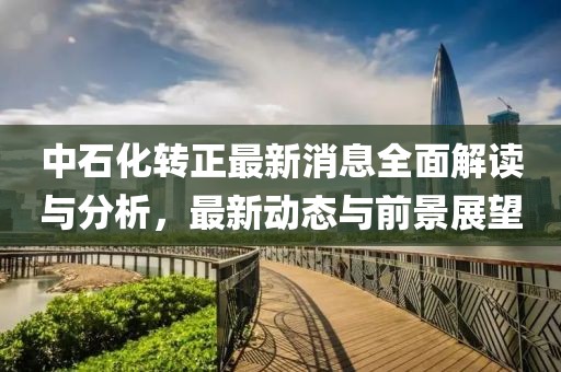 中石化转正最新消息全面解读与分析，最新动态与前景展望