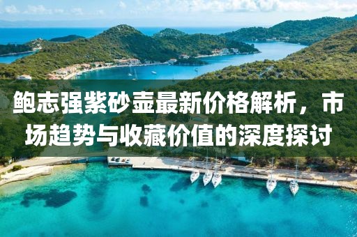 鲍志强紫砂壶最新价格解析，市场趋势与收藏价值的深度探讨