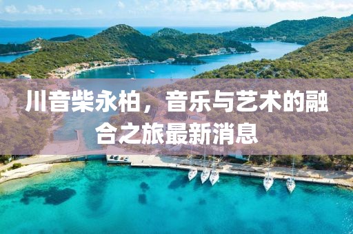 川音柴永柏，音乐与艺术的融合之旅最新消息