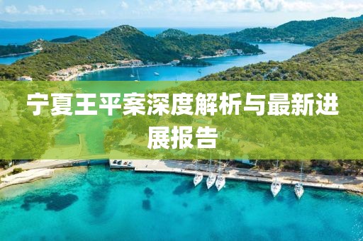 宁夏王平案深度解析与最新进展报告