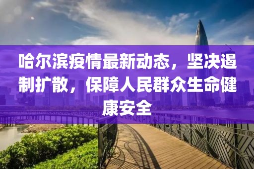 哈尔滨疫情最新动态，坚决遏制扩散，保障人民群众生命健康安全