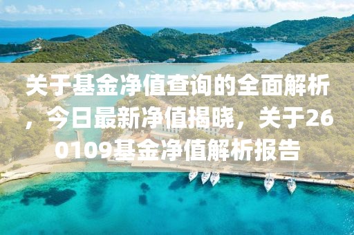 关于基金净值查询的全面解析，今日最新净值揭晓，关于260109基金净值解析报告