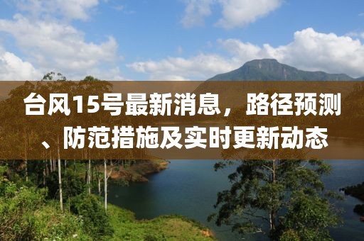 台风15号最新消息，路径预测、防范措施及实时更新动态