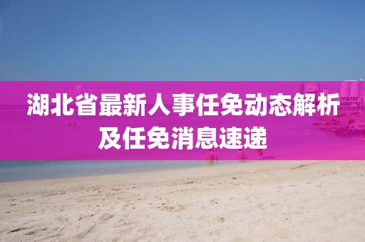 湖北省最新人事任免动态解析及任免消息速递