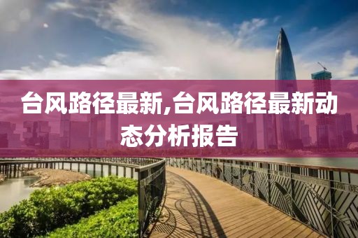 台风路径最新,台风路径最新动态分析报告