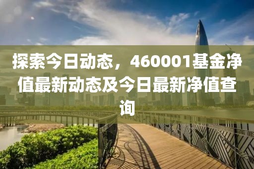 探索今日动态，460001基金净值最新动态及今日最新净值查询