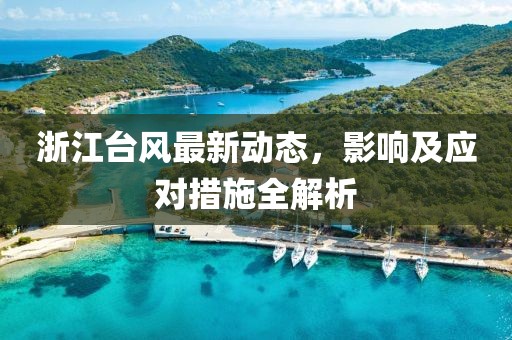 浙江台风最新动态，影响及应对措施全解析