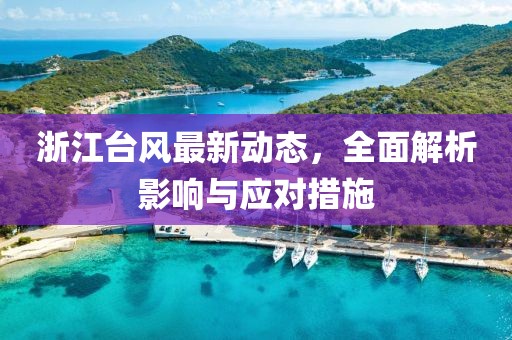 浙江台风最新动态，全面解析影响与应对措施