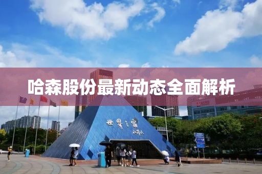 哈森股份最新动态全面解析