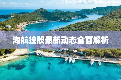 海航控股最新动态全面解析