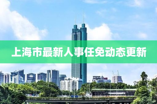 上海市最新人事任免动态更新