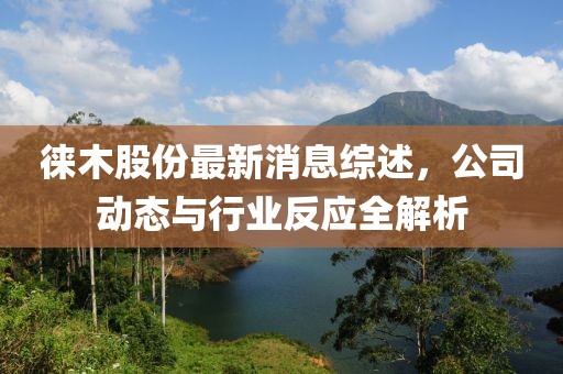 徕木股份最新消息综述，公司动态与行业反应全解析