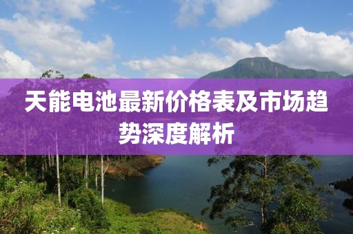 天能电池最新价格表及市场趋势深度解析