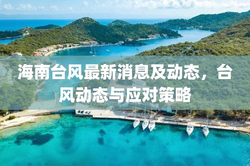 海南台风最新消息及动态，台风动态与应对策略