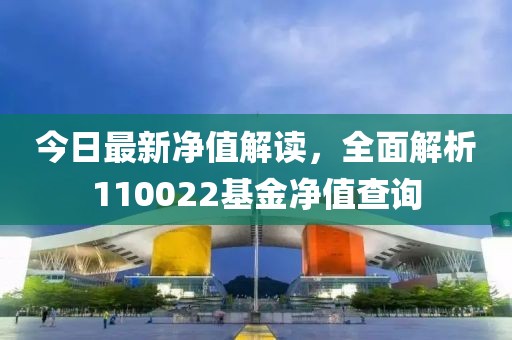 今日最新净值解读，全面解析110022基金净值查询