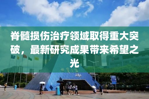 脊髓损伤治疗领域取得重大突破，最新研究成果带来希望之光