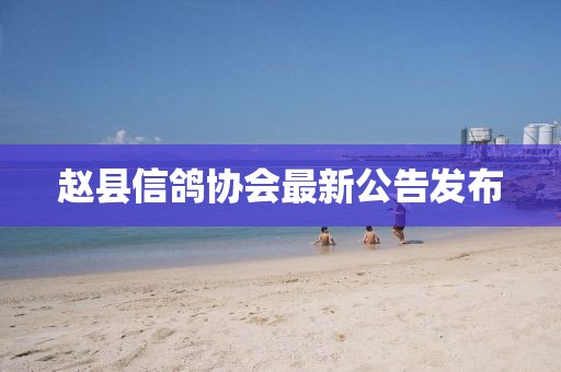 赵县信鸽协会最新公告发布