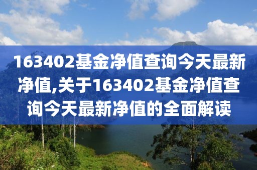 163402基金净值查询今天最新净值,关于163402基金净值查询今天最新净值的全面解读