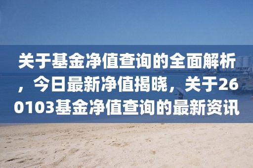 关于基金净值查询的全面解析，今日最新净值揭晓，关于260103基金净值查询的最新资讯