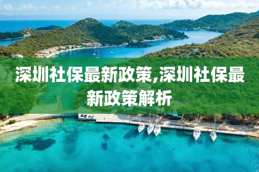 深圳社保最新政策,深圳社保最新政策解析