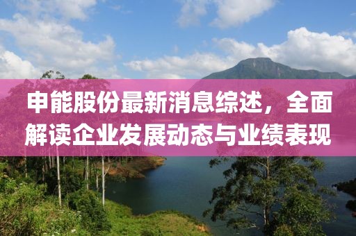 申能股份最新消息综述，全面解读企业发展动态与业绩表现