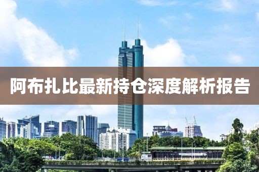 阿布扎比最新持仓深度解析报告