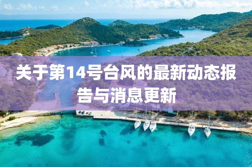 关于第14号台风的最新动态报告与消息更新