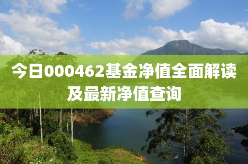 今日000462基金净值全面解读及最新净值查询