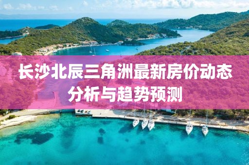 长沙北辰三角洲最新房价动态分析与趋势预测