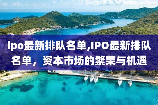 ipo最新排队名单,IPO最新排队名单，资本市场的繁荣与机遇