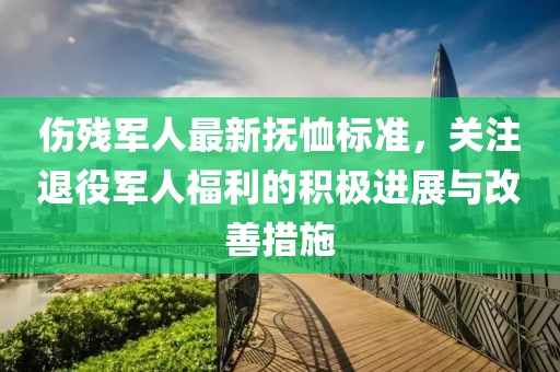 伤残军人最新抚恤标准，关注退役军人福利的积极进展与改善措施